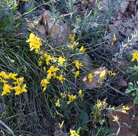 vos photos souvenirs passion Esterel