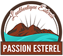 Footer Logo